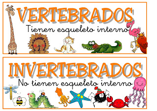 Animales vertebrados e invertebrados