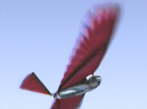La imagen muestra una máquina voladora que imita el vuelo de un pájaro.