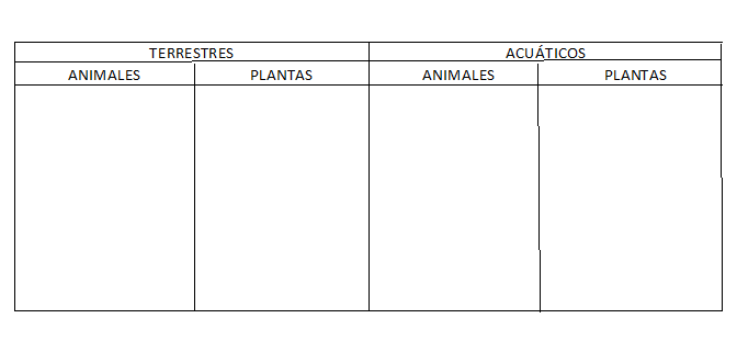 Tabla para completar con información