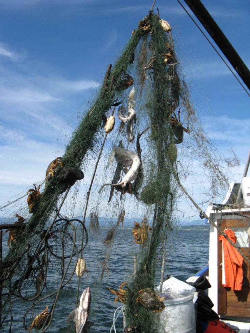 Barco de pesca levantando las redes tras una jornada de pesca.