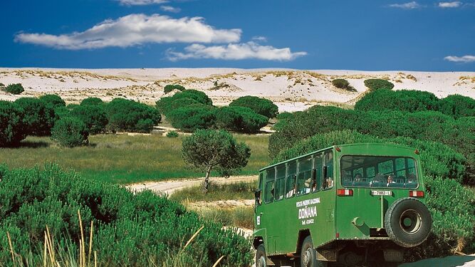 Imagen de las duna de Doñana, donde se aprecia un autobús de visitantes