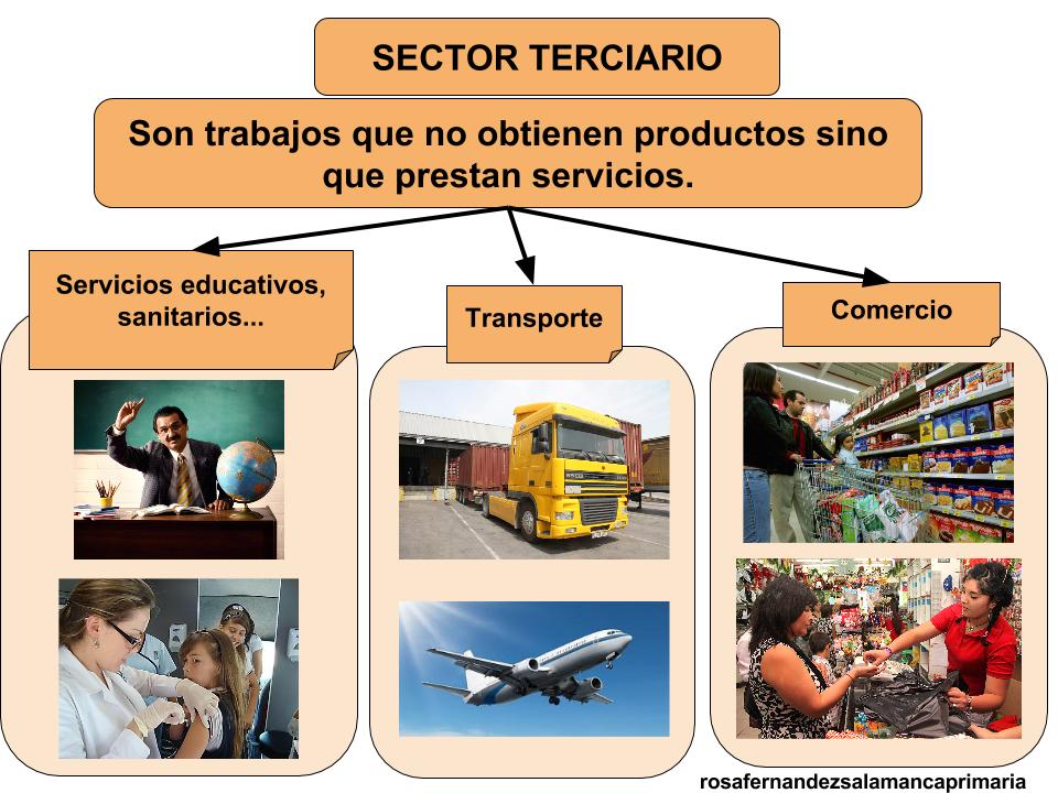 EL SECTOR SERVICIOS