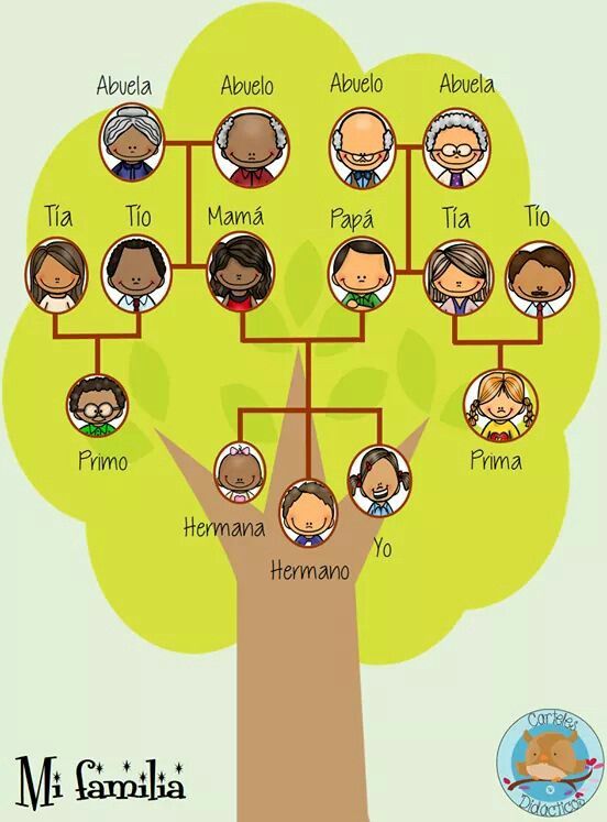 ÁRBOL GENEALÓGICO