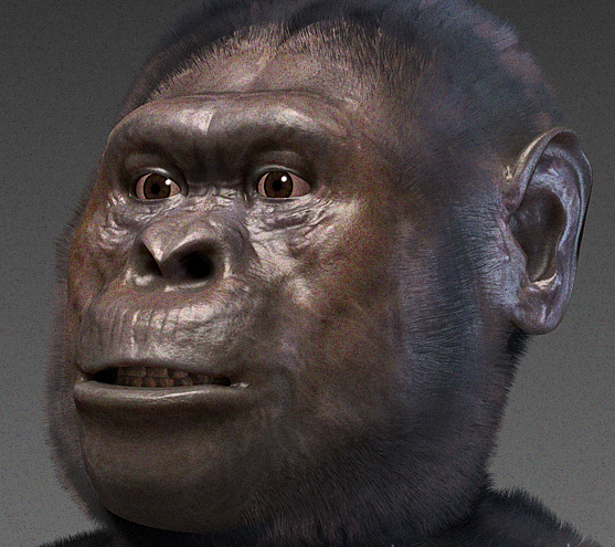 En la imagen se muestra la especie Australopithecus.