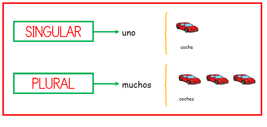 Singular y plural