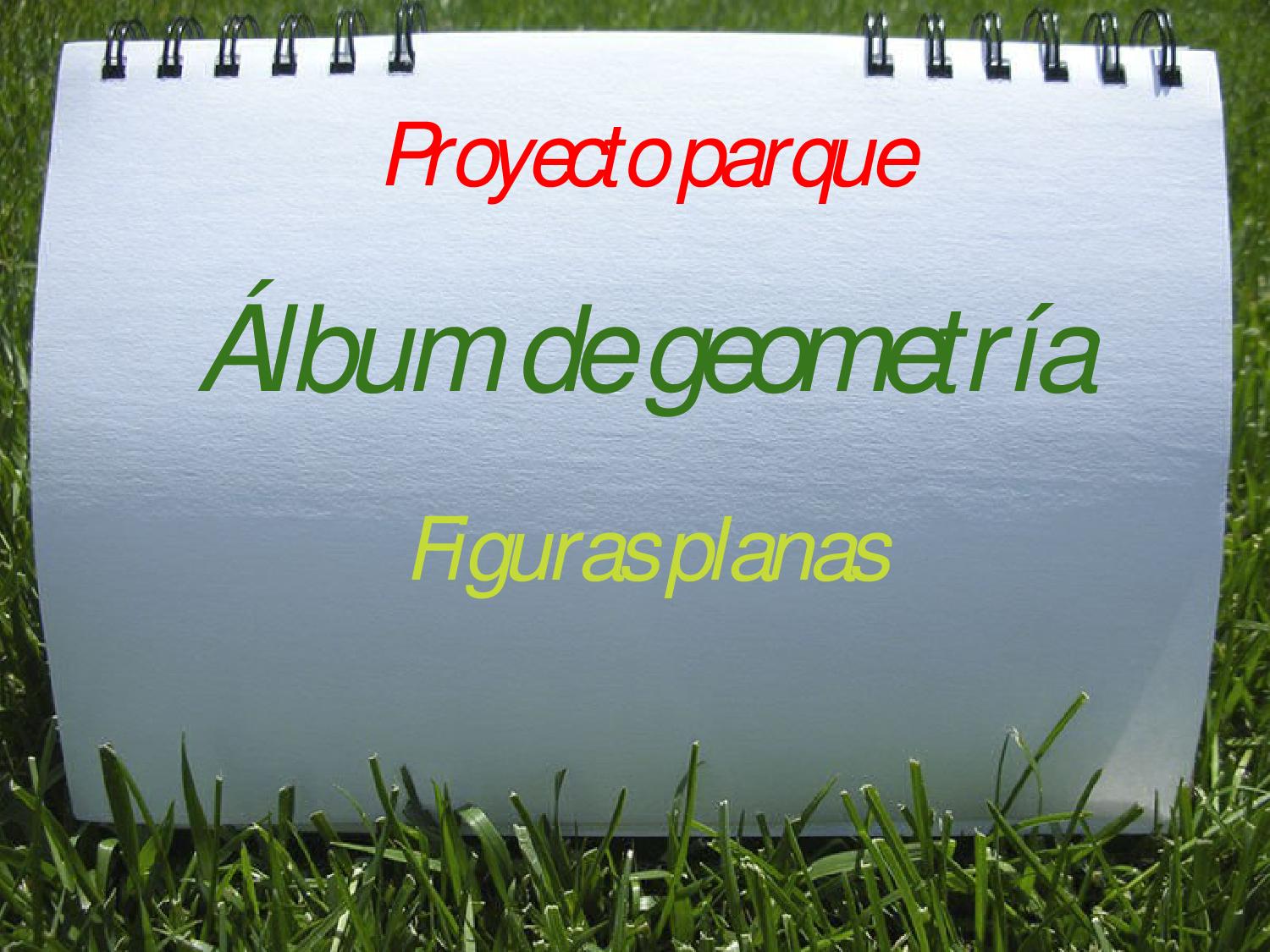 Álbum geometría